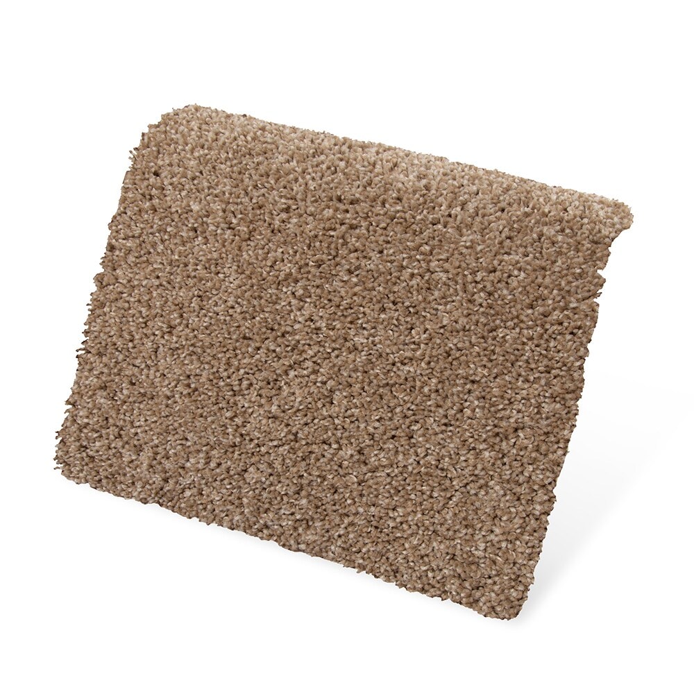 STAINMASTER SS011-L002-0808 Carpet-Samples - View #3