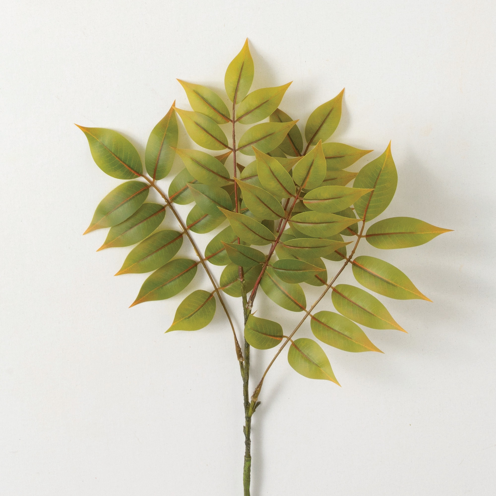 Sullivans 28327S GR BR 24-Inches Yellow Indoor Desktop Mixed greenery Artificial branch/stem
