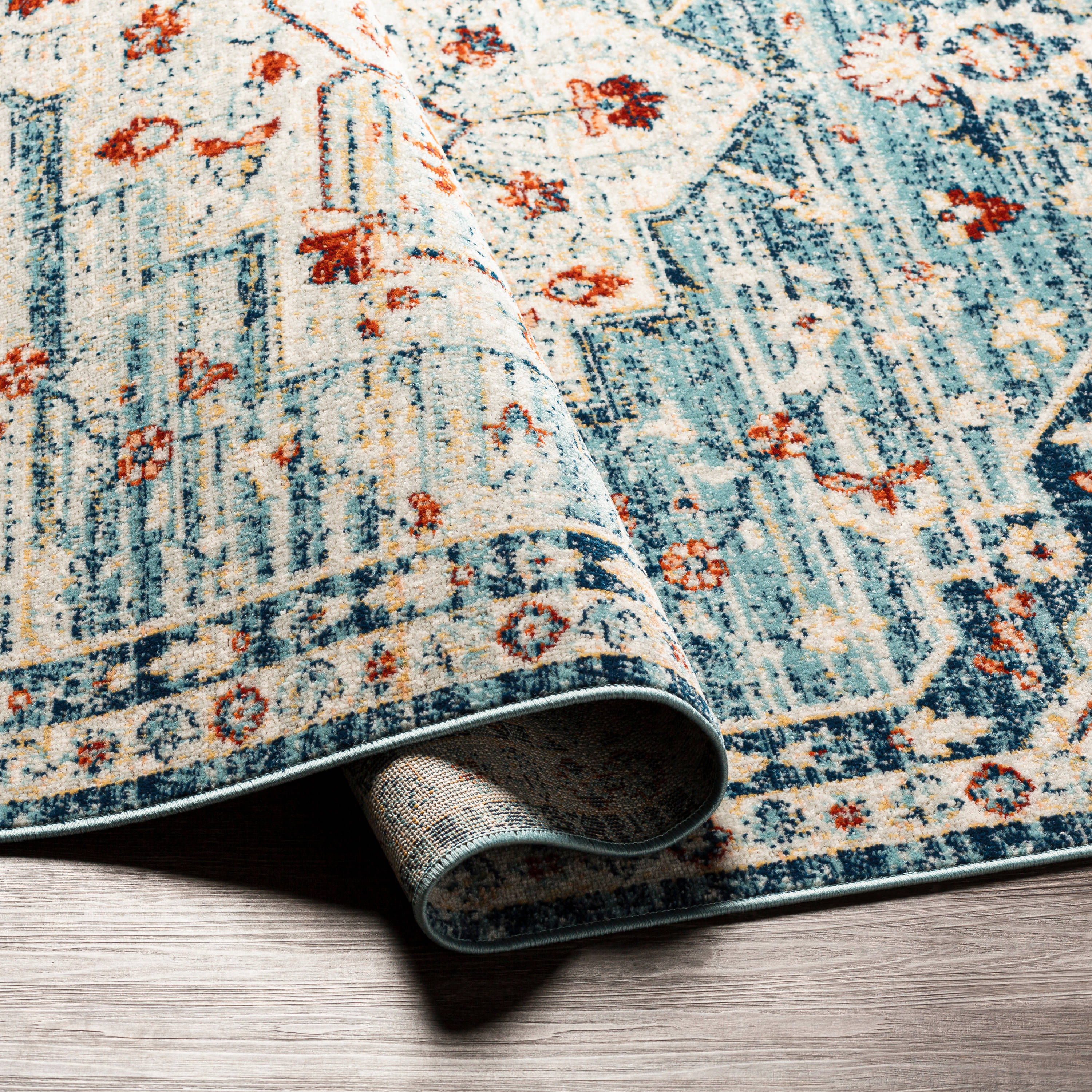 Artistic Weavers RDD2303-679 rugs - View #4