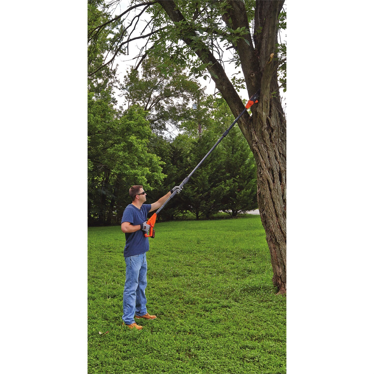 Shop BLACK+DECKER 20-volt Max 8-in Cordless Electric Pole Saw (Battery &  Charger Included) & 20-volt Max 10-in Cordless Electric Chainsaw (Battery  Included) at