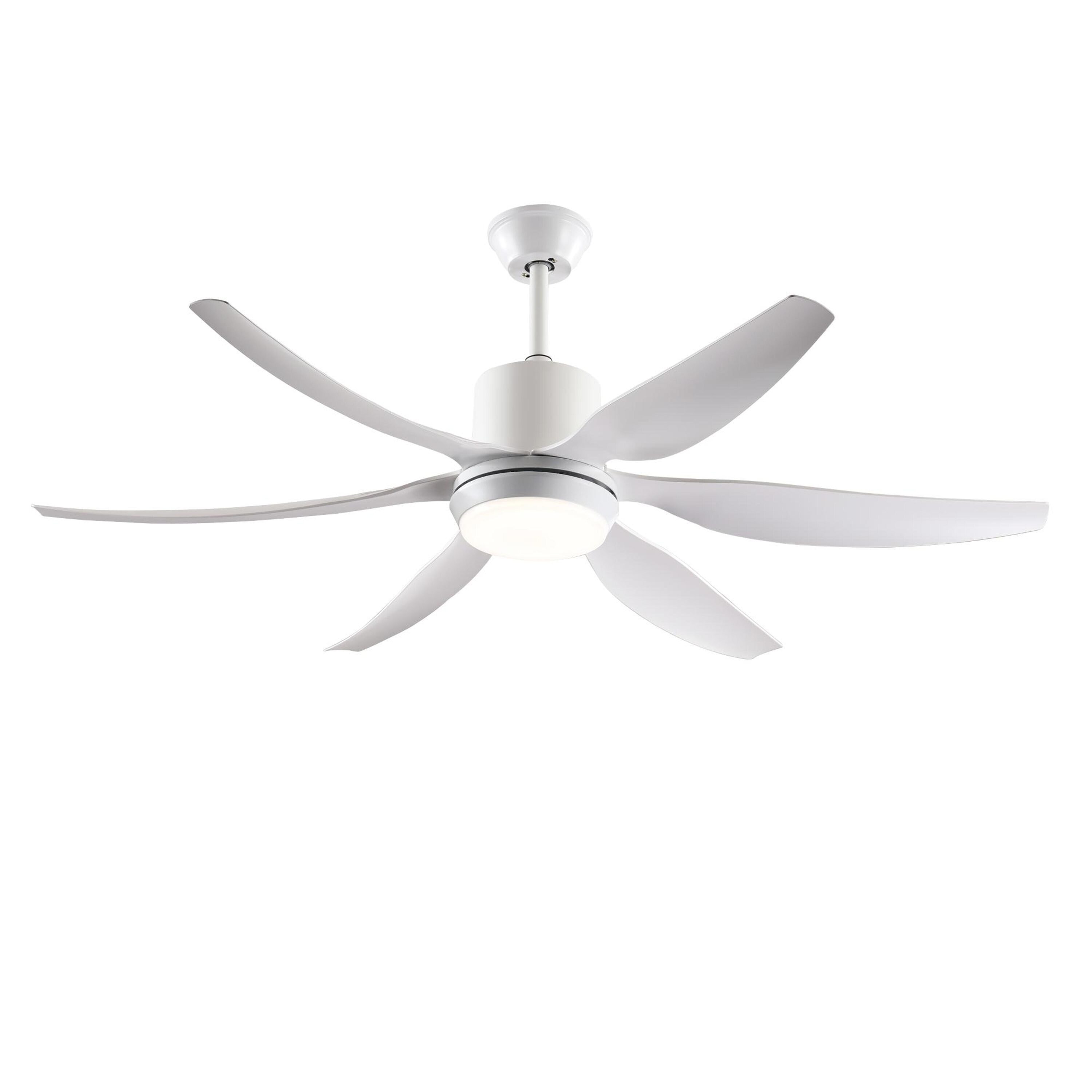 Bayfeve BF-385435-MP Ceiling-Fans - View #14