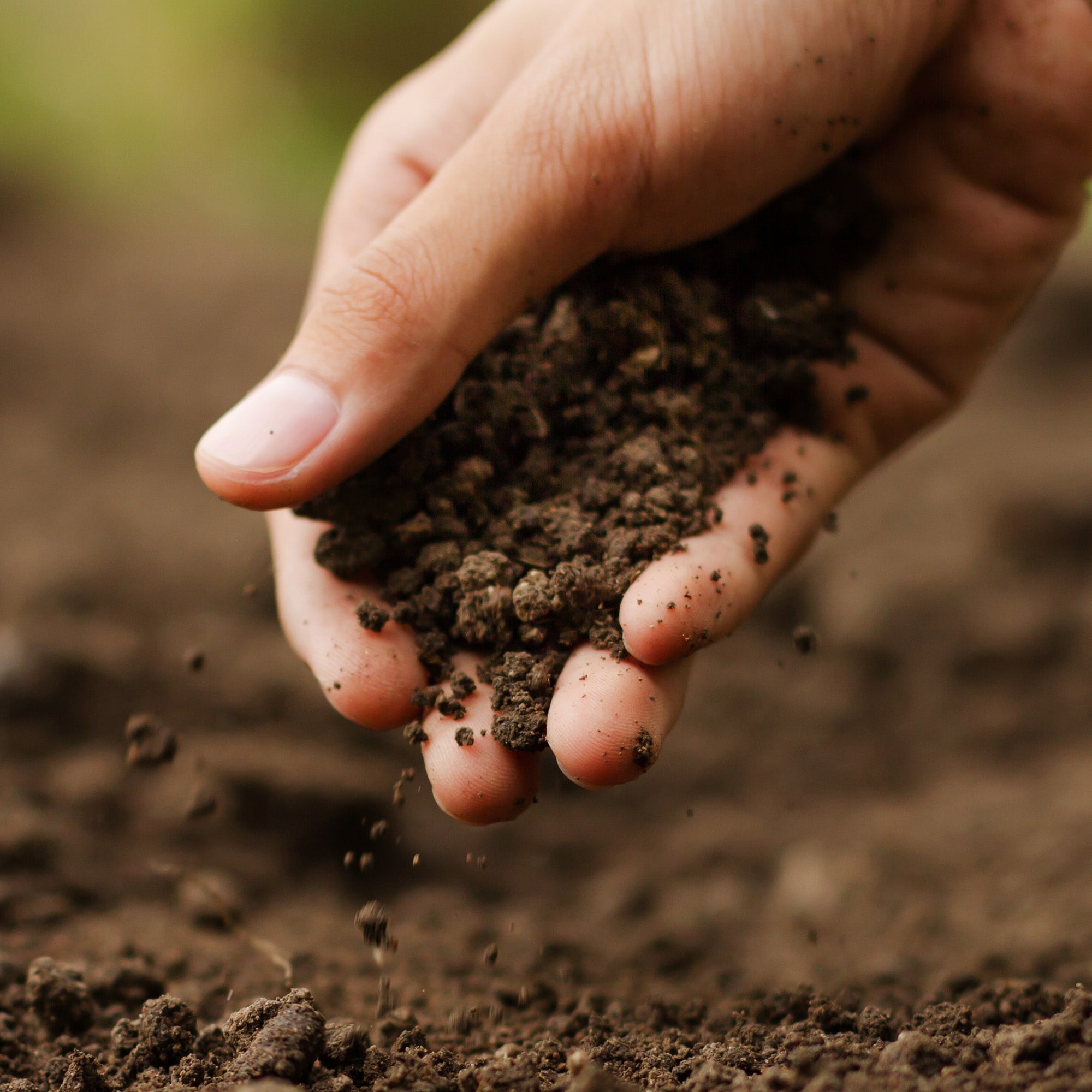 Michigan Peat 223357 Garden-Soil-Soil-Amendments - View #6