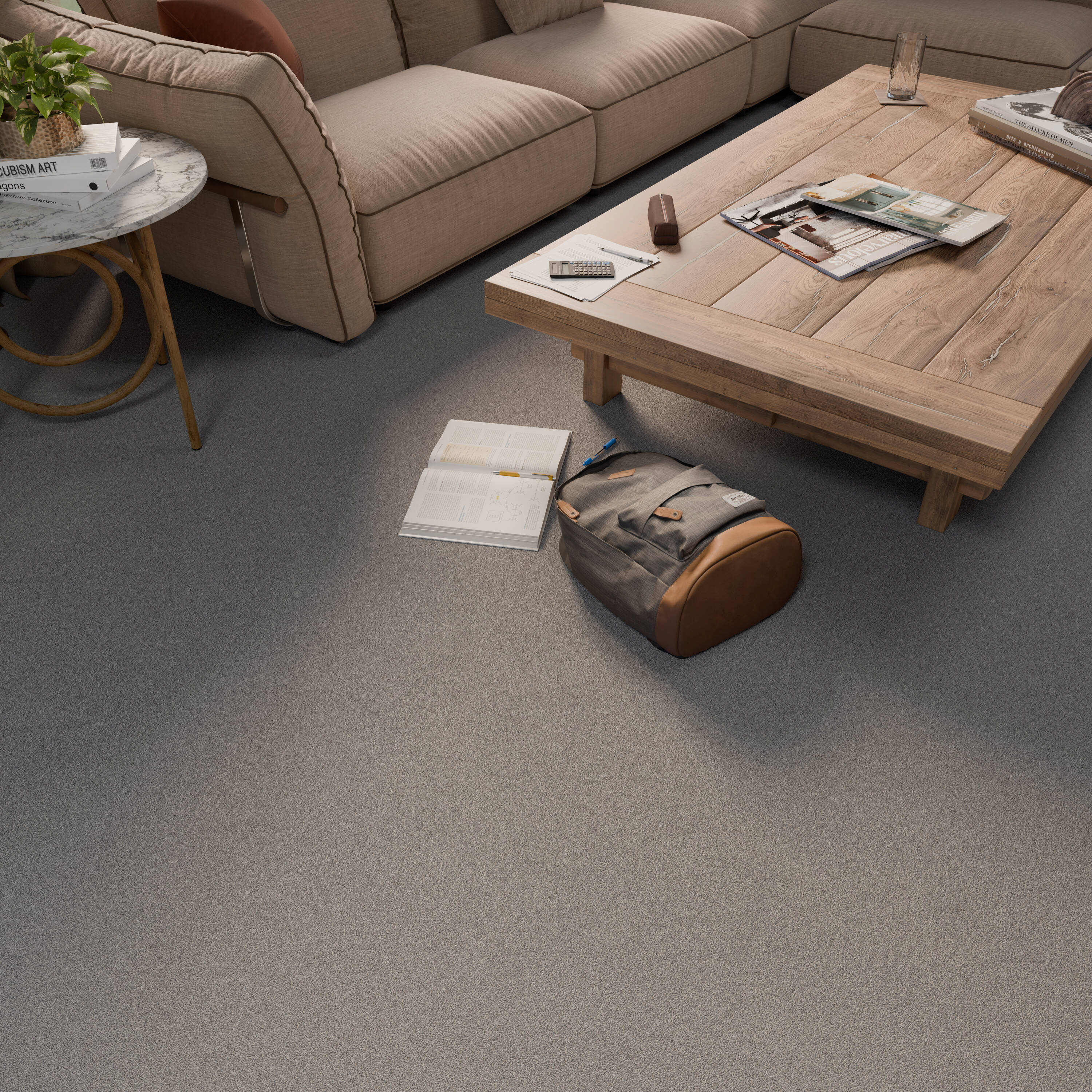 STAINMASTER PetProtect 7L970-502-SAMP Carpet-Samples - View #5