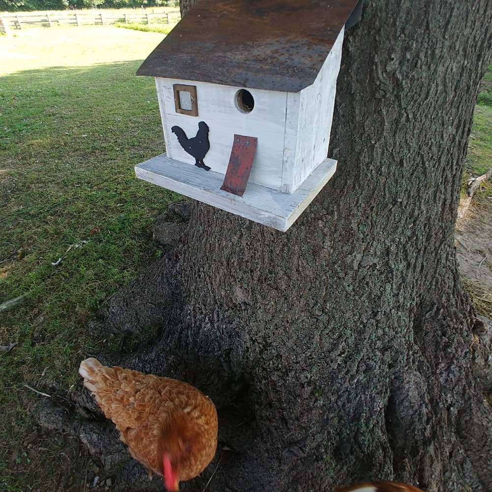 Rustic White Reclaimed Wood Chicken Coop Birdhouse