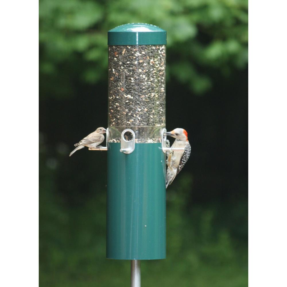 BIRDS CHOICE Steel Squirrel-Resistant 1.2-Gallon Tube Bird Feeder in ...