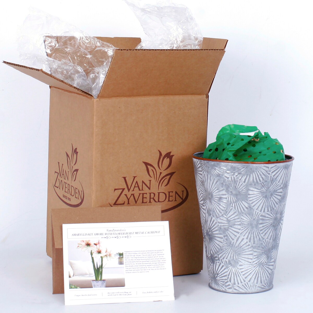 Van Zyverden 87300 Plant-Bulbs - View #6