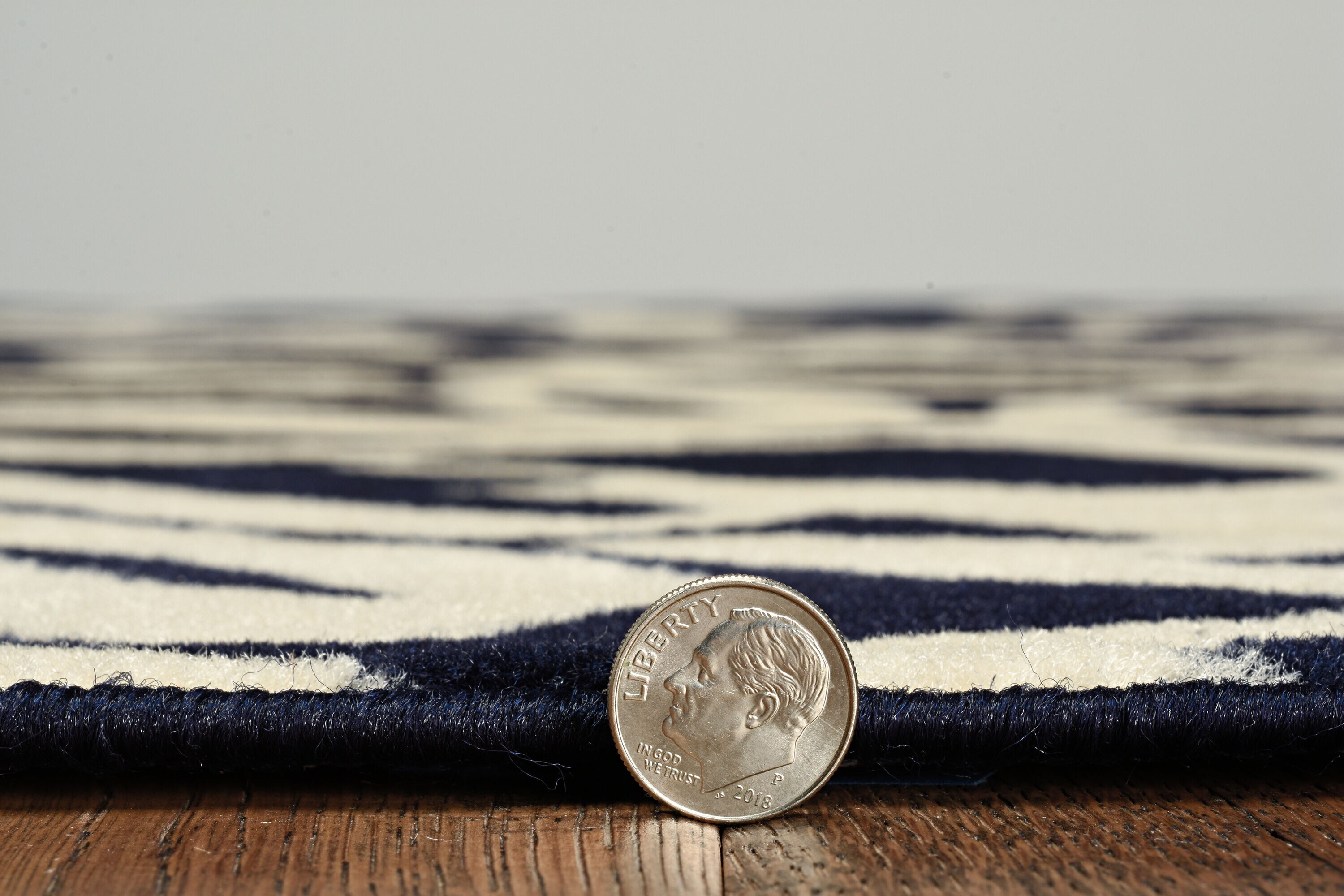 Linon RUGBC21957 rugs - View #4