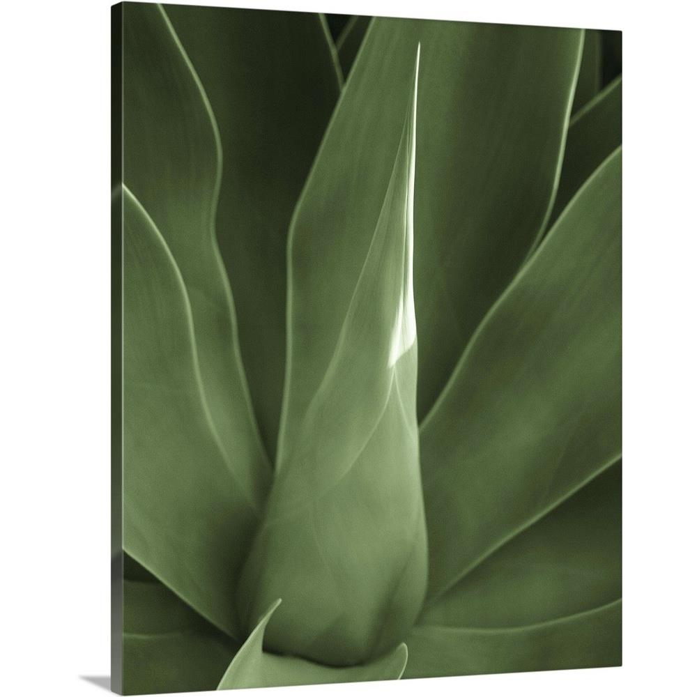 GreatBigCanvas 2442642-24-16X20 20-in H x 16-in W Abstract Print on Canvas