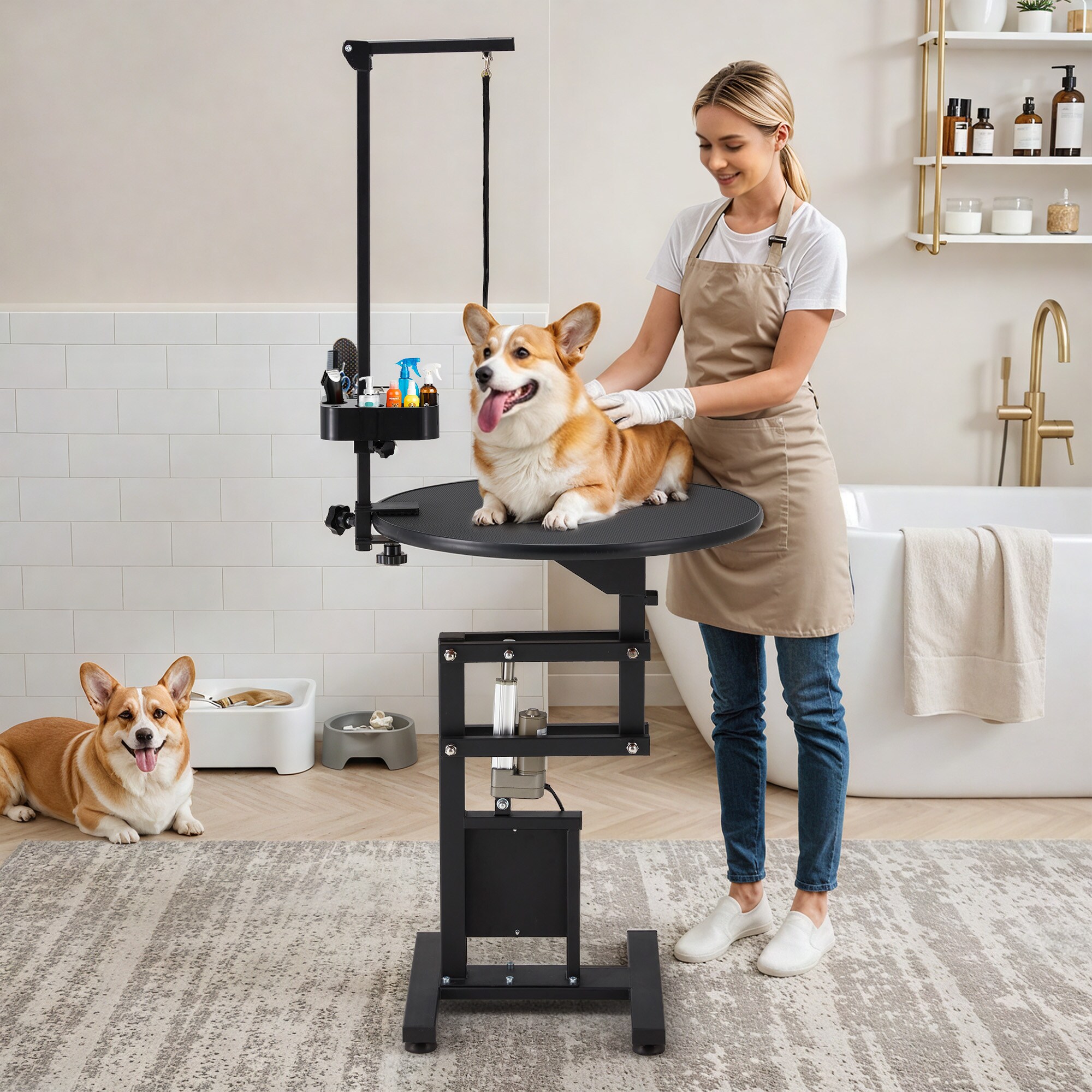 AECOJOY 12001BK-LS02 Pet-Shampoo - View #2