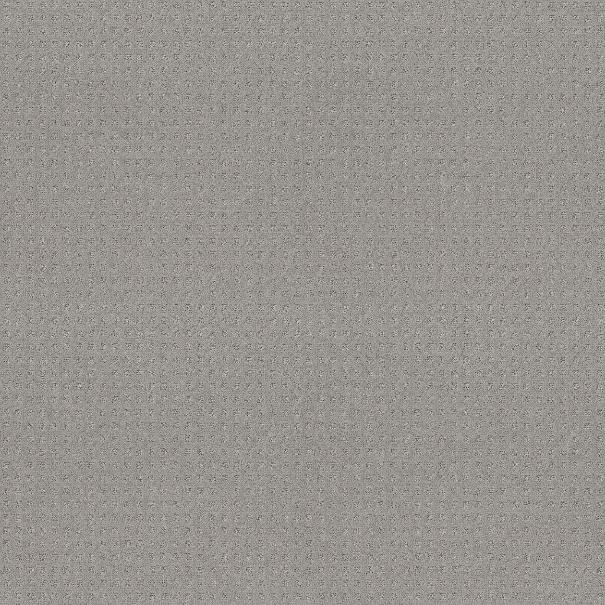 STAINMASTER PetProtect 7L898 - 541 - SAMP (Sample) Friends Furrever Silver Fox Gray 29.3-oz sq yard Nylon Pattern Indoor Carpet