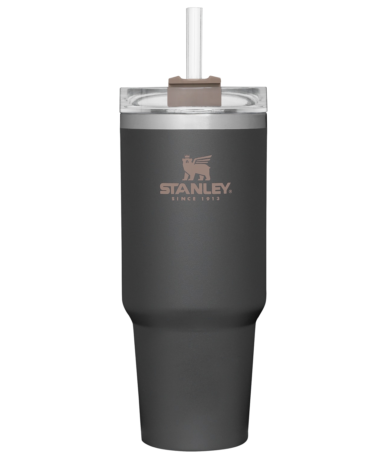 Stanley Quencher 30-fl oz Stainless Steel Insulated Water Bottle in the Water  Bottles & Mugs department at