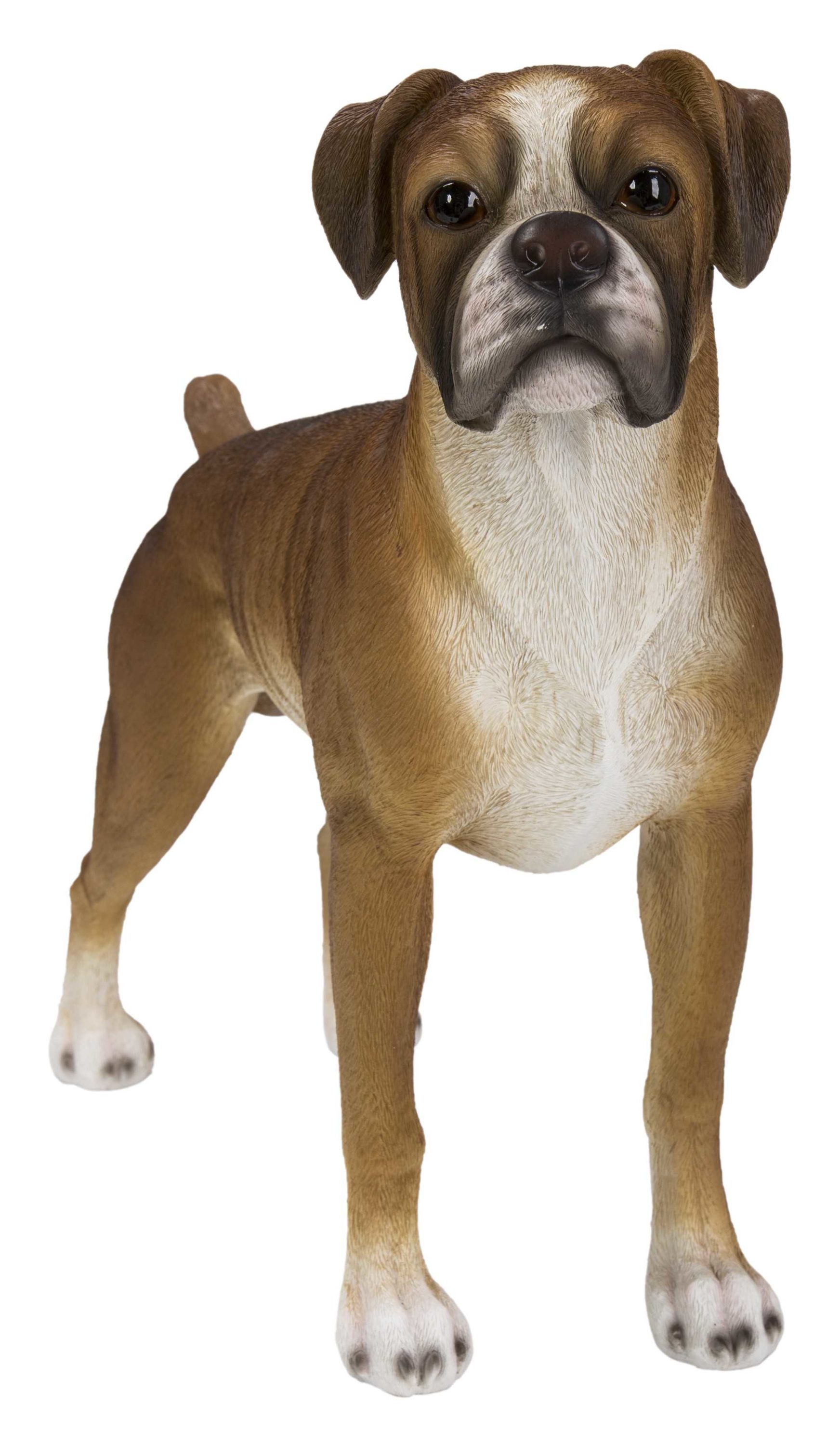 Hi-Line Gift 87748-A 13.78-in H x 5.51-in W Multiple Colors/Finishes Dog Garden Statue