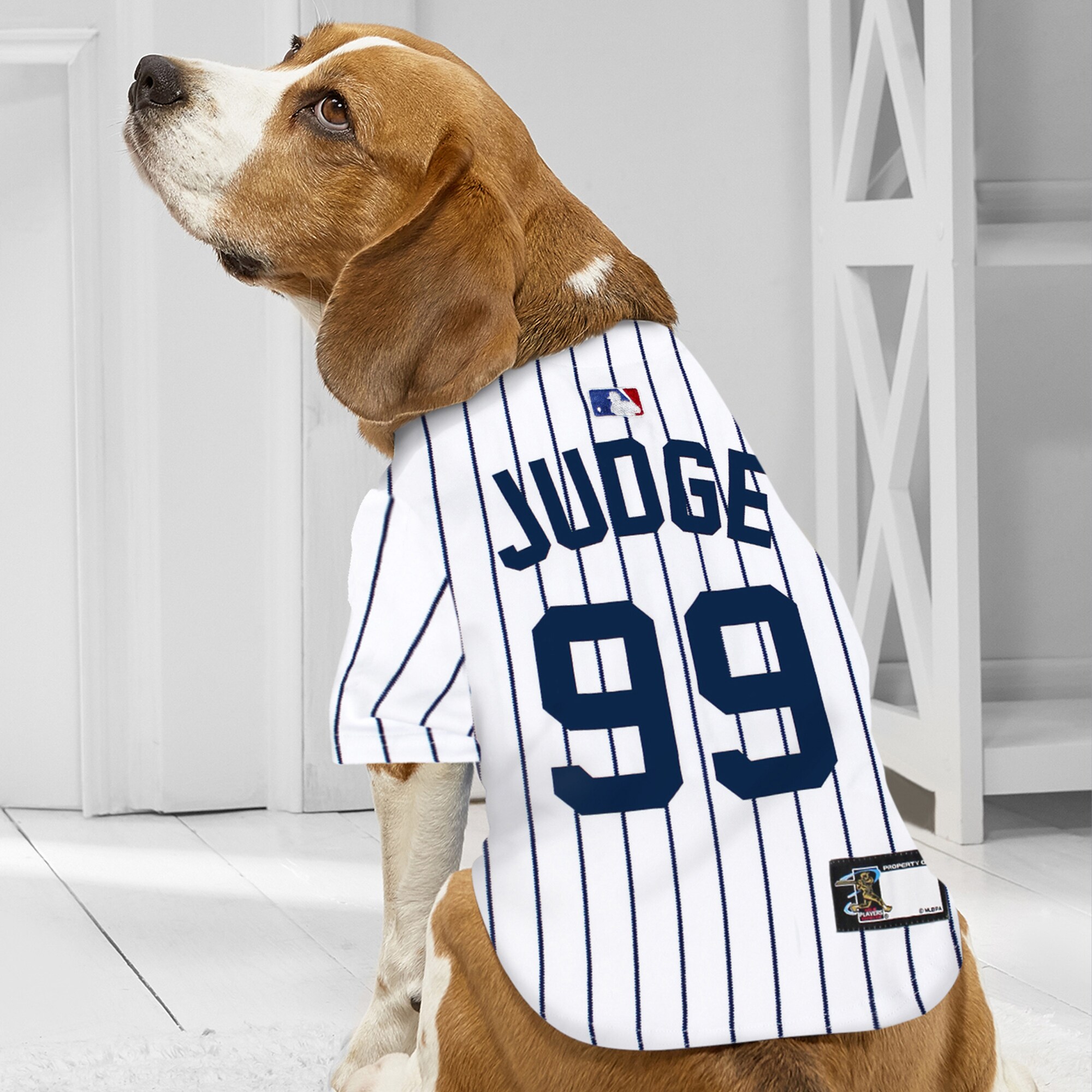 Pets First AJ-4006-SM Dog-Apparel - View #3
