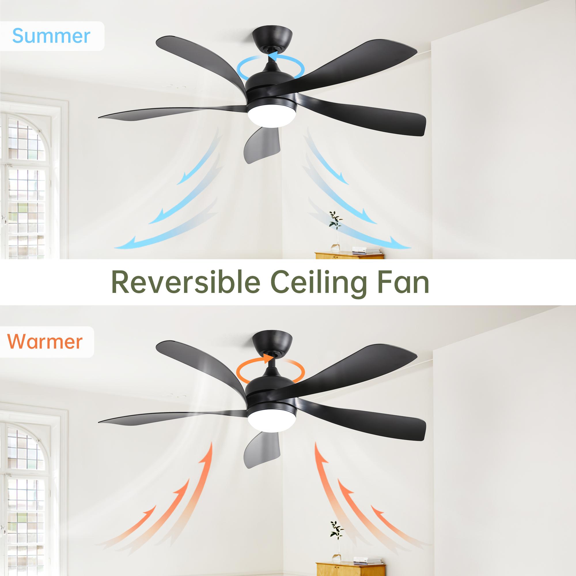 Bayfeve BFKS-147276-CF Ceiling-Fans - View #7