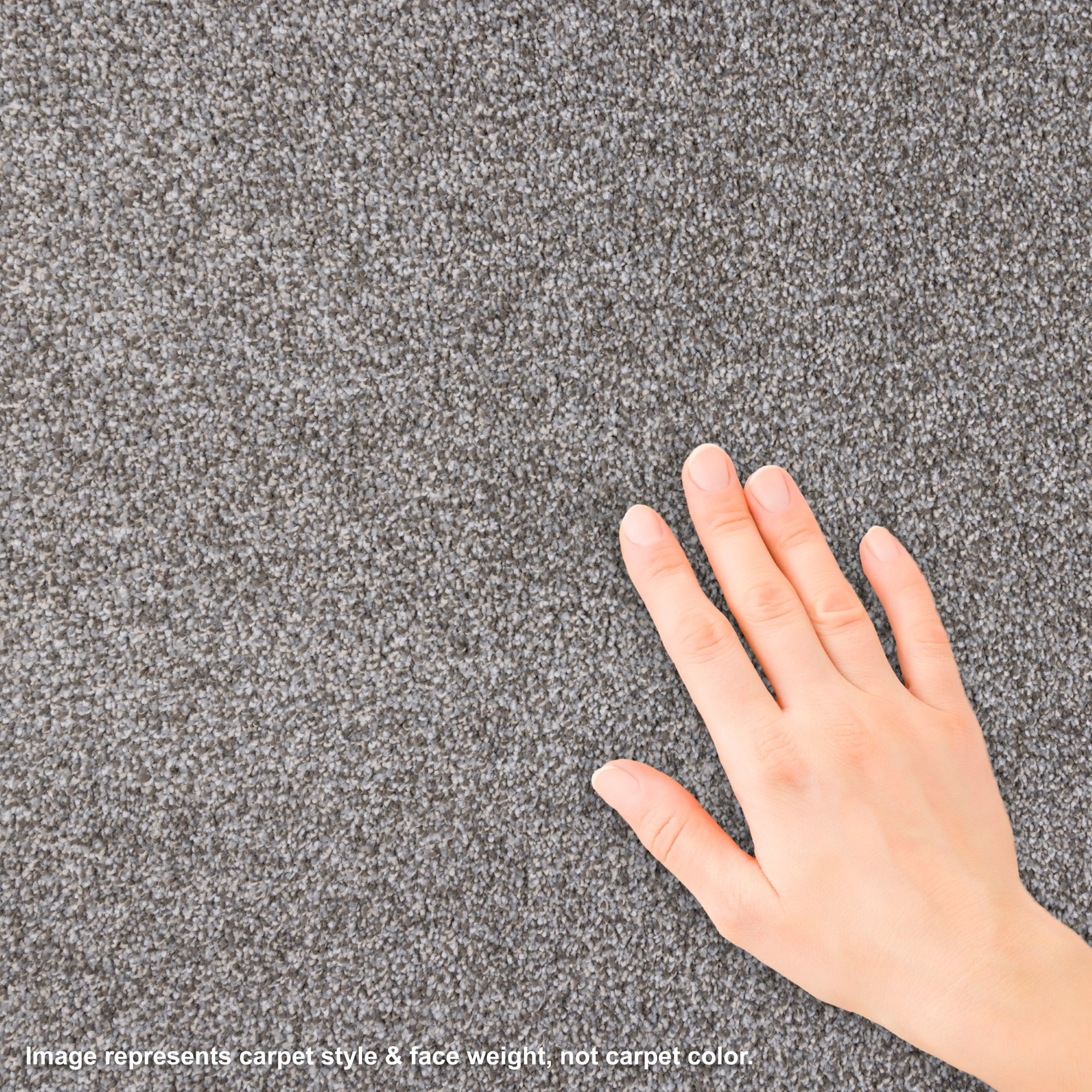STAINMASTER L5018-1804-1200-AB Carpet-Panel - View #4