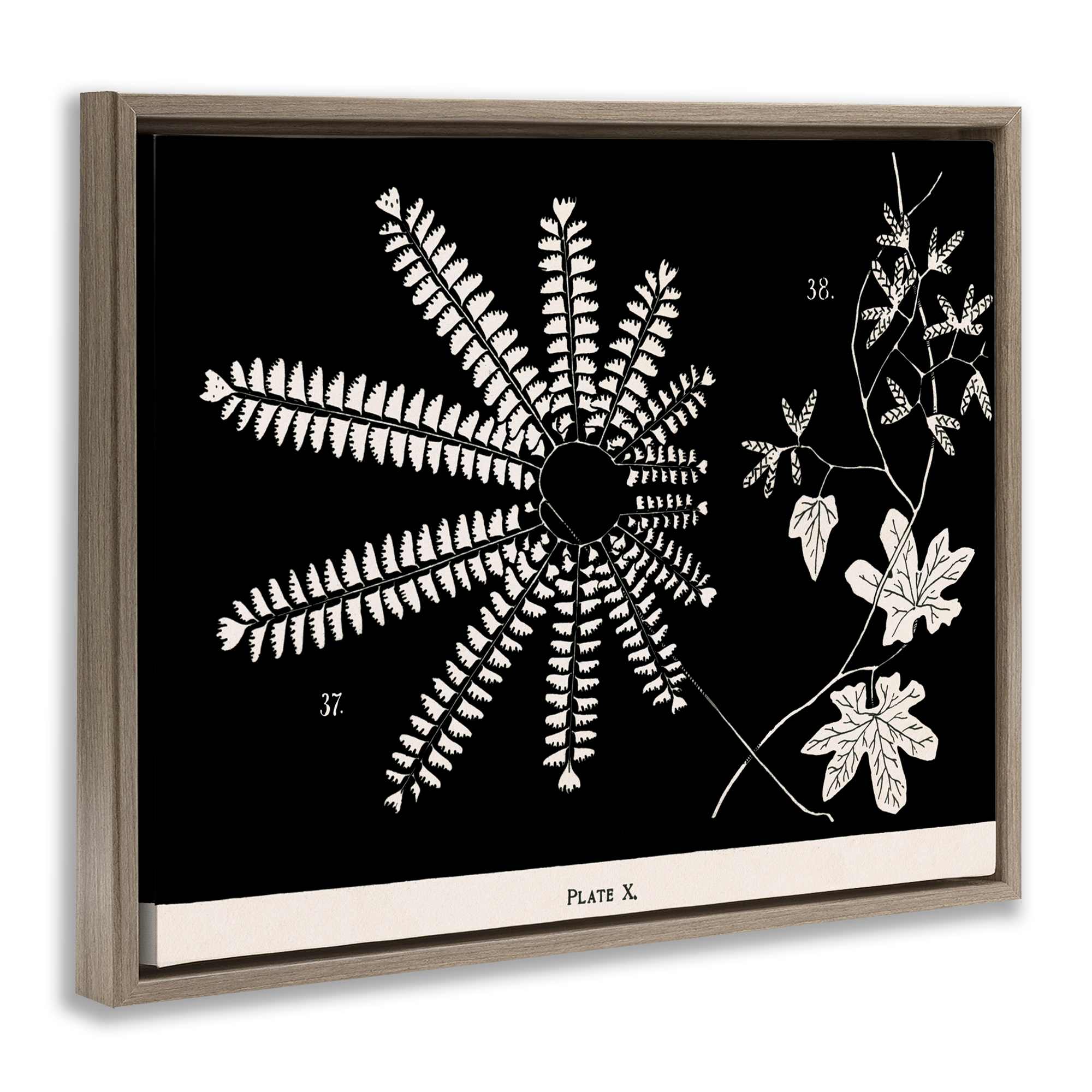 Stupell Industries BT-463-FFE-24X30 Wall-Art - View #2