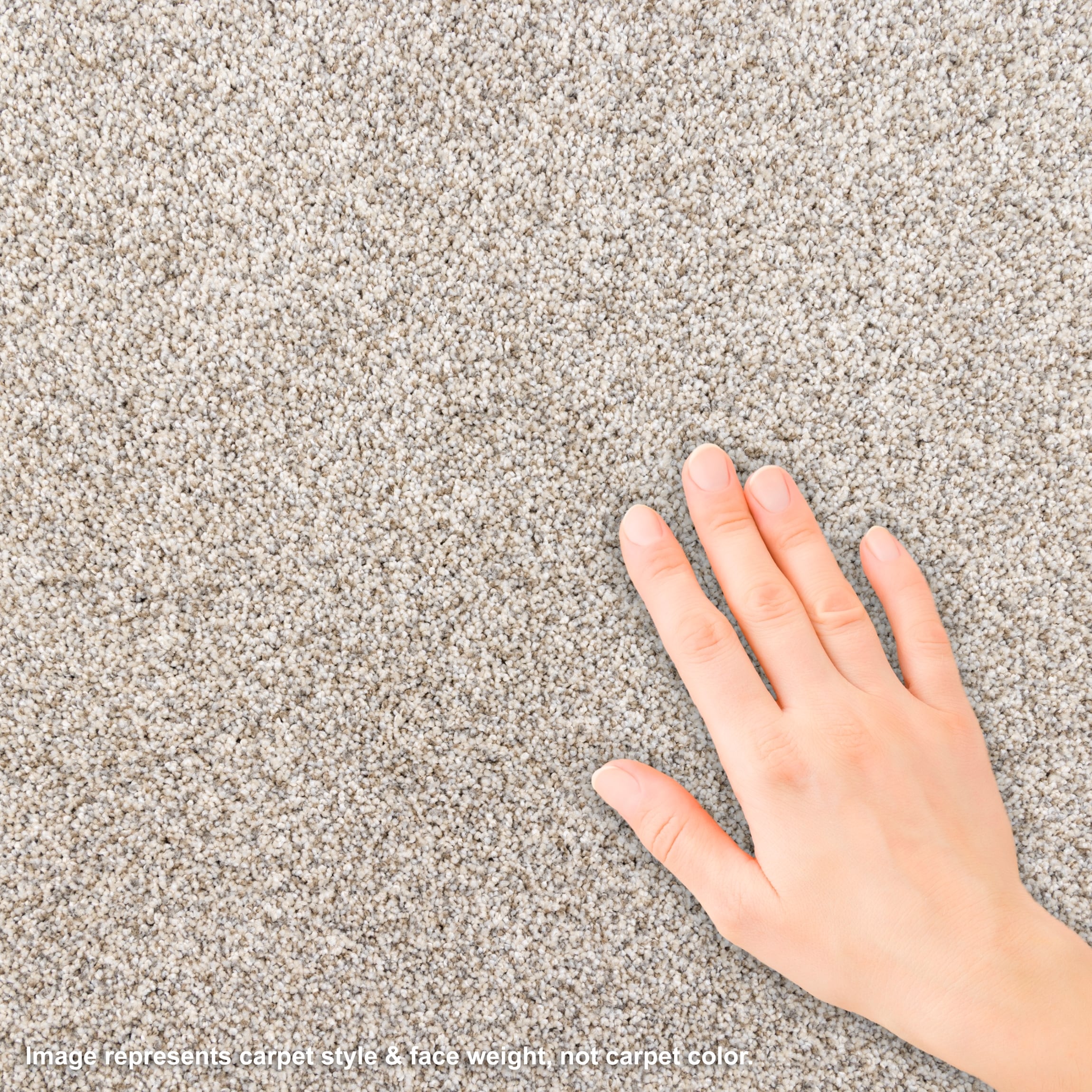 STAINMASTER PetProtect L3013-1302-1200-AB Carpet-Panel - View #3