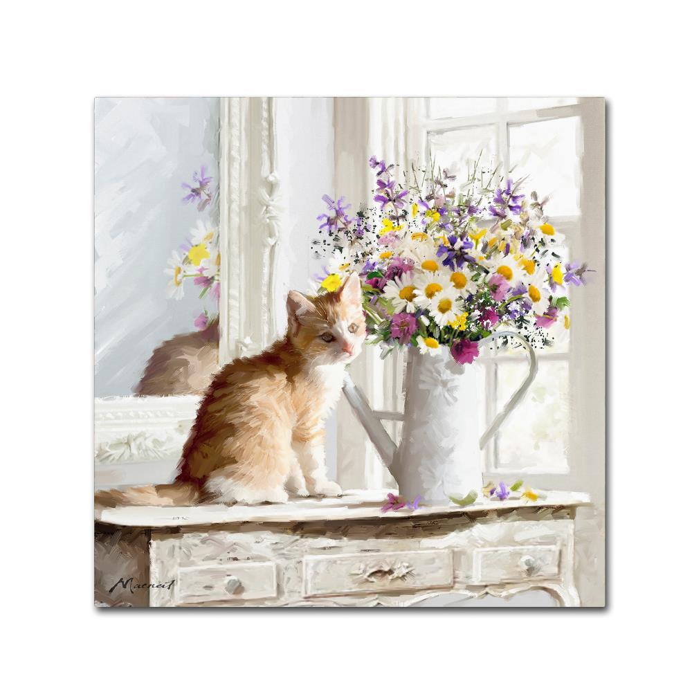 Trademark Fine Art ALI8668-C1818GG Framed 18-Inches H x 18-Inches W Animals Canvas Print