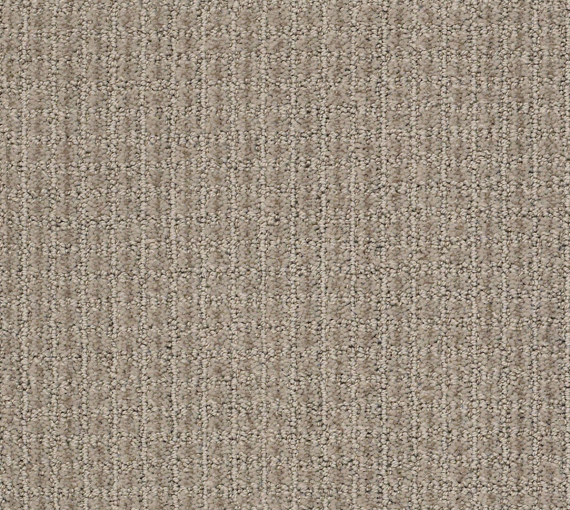 STAINMASTER PetProtect 7L885 - 700 - SAMP (Sample) Pawsh Party Artisan Taupe Brown 29.2-oz sq yard Nylon Pattern Indoor Carpet