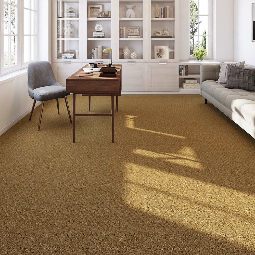  LC70-12-L002 Carpet-Panel - View #2