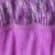 Purple Heather and Purple