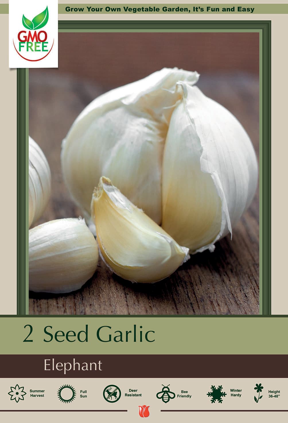 Hirt's Gardens NETHERLANDS 83942 Elephant Garlic Bulbs - Be Healthy & Heart Smart - 1 Bulb