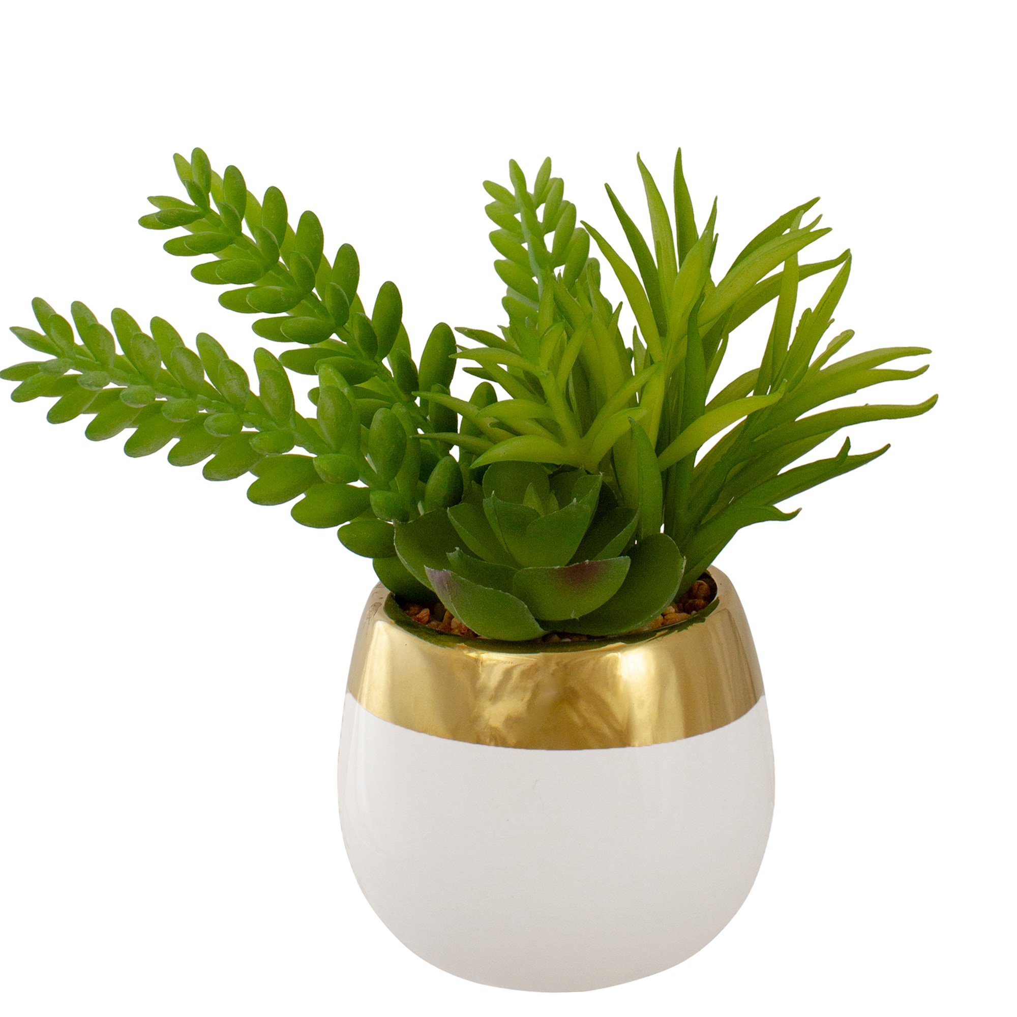 Northlight 34738356 6.5-in Green Indoor Desktop Succulent Artificial plant