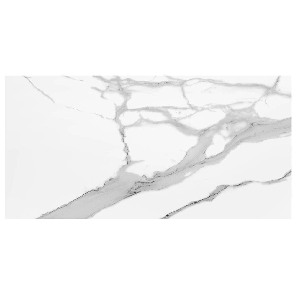 Elida Ceramica LWSSMMSS2448M Ceramic-Tile - View #5