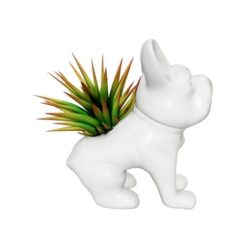 Three-dimensional representation of the product