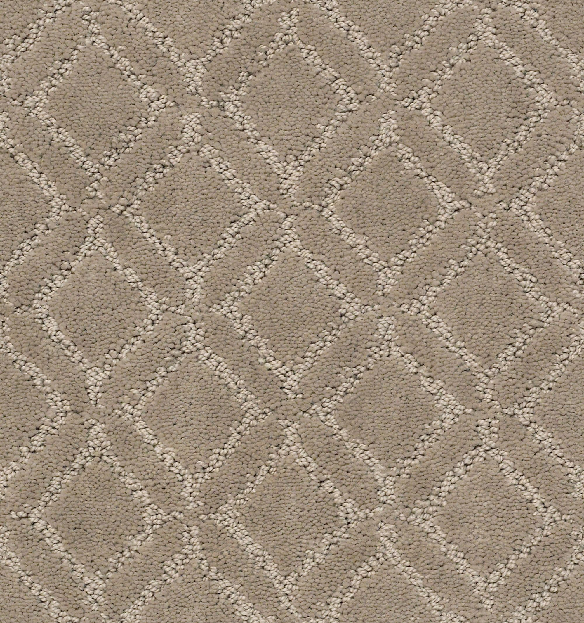 STAINMASTER PetProtect 7L90100512 Furrever Yours Reflection Gray 35.1-oz sq yard Nylon Pattern Indoor Carpet