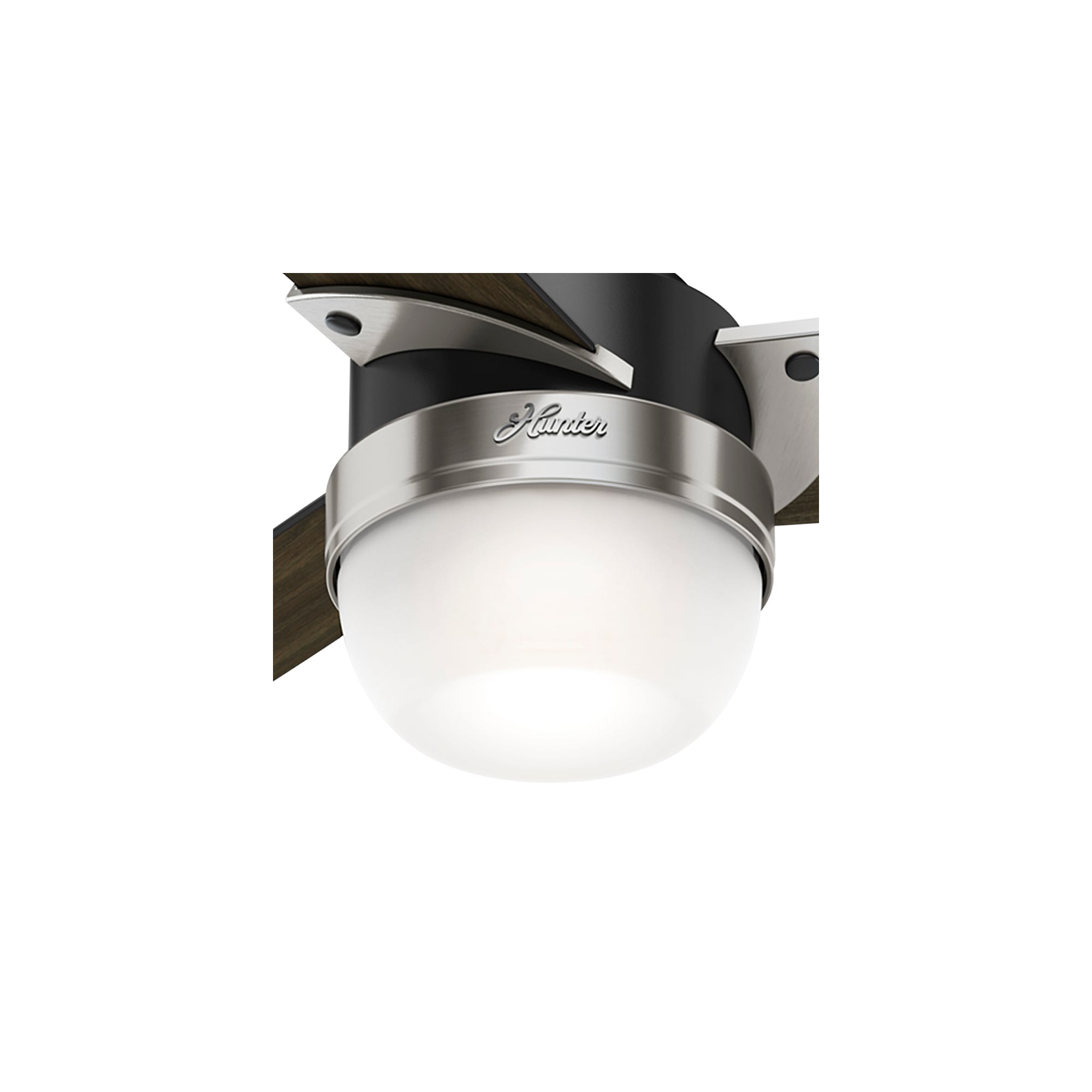 Hunter 59228 Ceiling-Fans - View #6