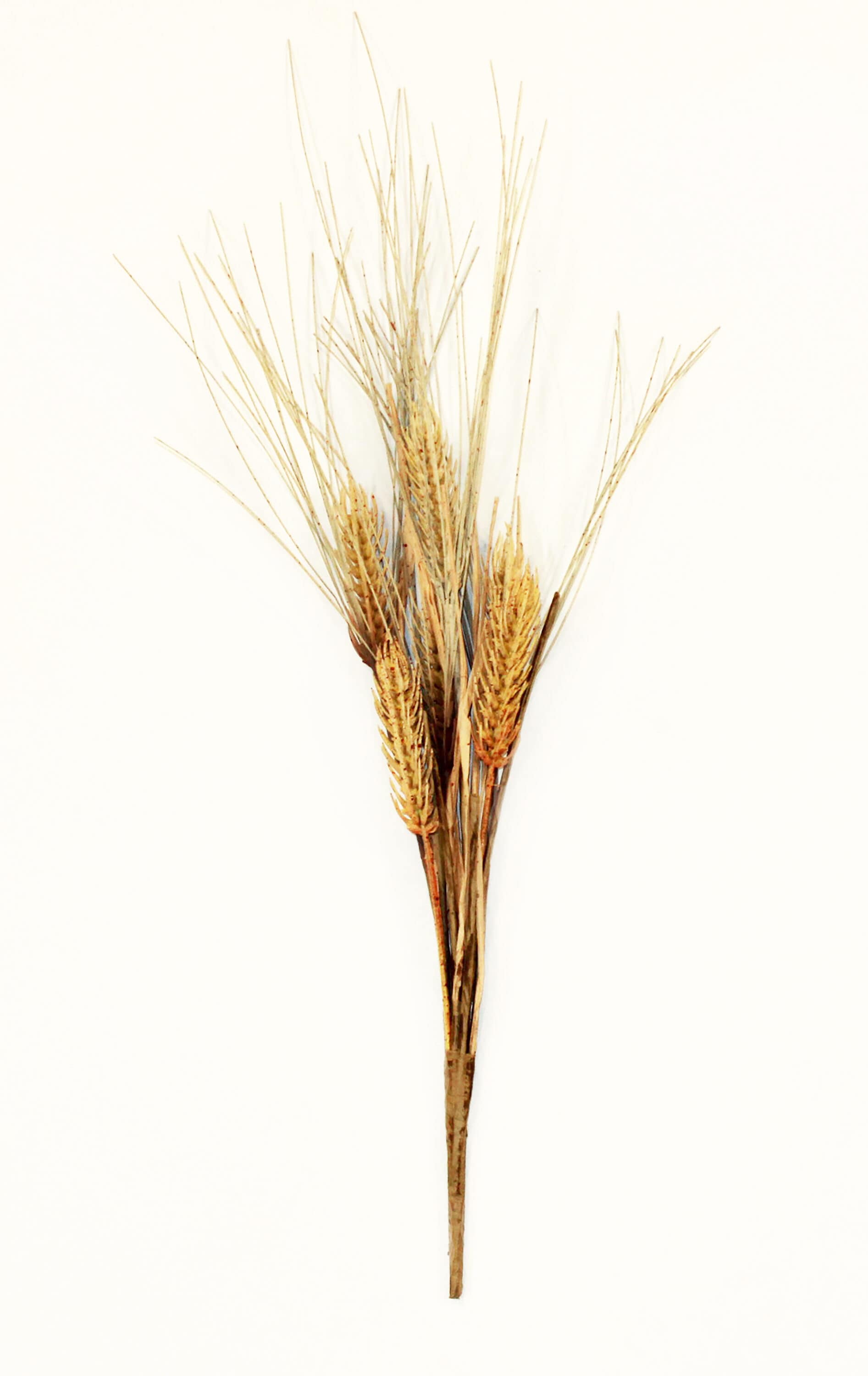 Worth Imports 15068 20-Inches Harvest Free standing decoration 6 -Pack