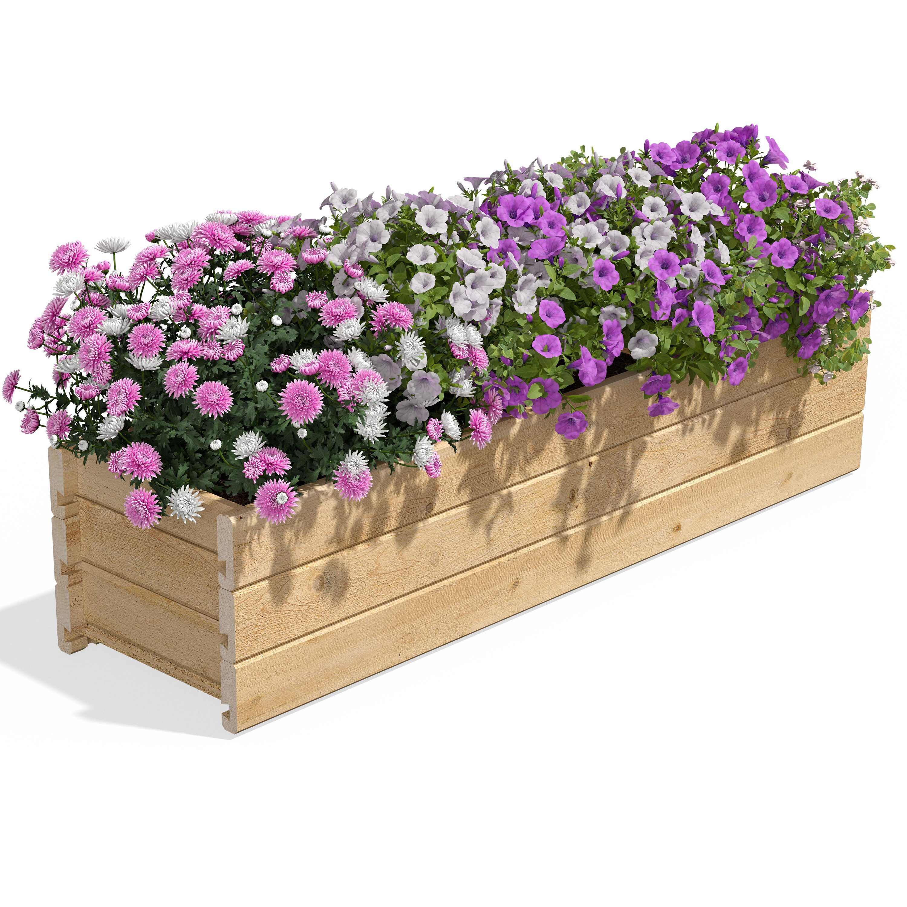Greenes Fence RCPB1146H3 Rectangle 46-in W Extra Large Off-white Cedar Outdoor Planter with Drainage Holes