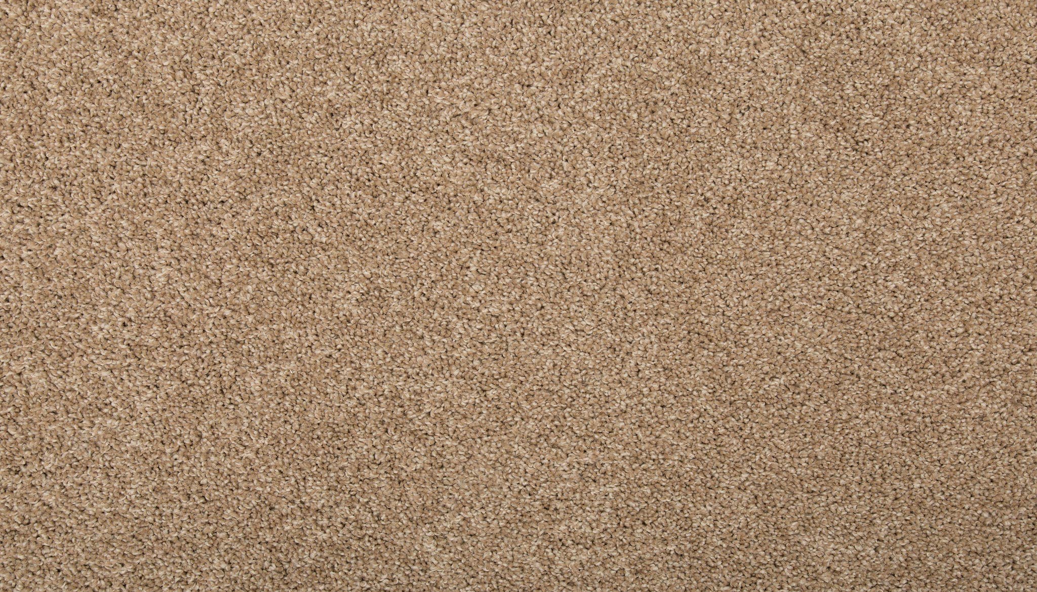 STAINMASTER SS011-L002-0808 (Sample) Memorable Touch I Cafe Au Lait Brown 35-oz sq yard Solution-dyed Polyester Textured Indoor Carpet