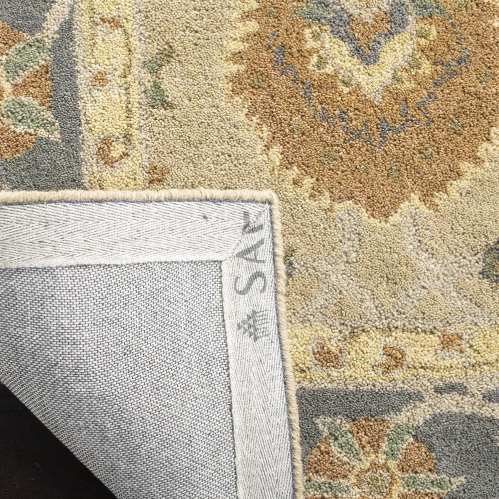 Safavieh AN561A-6R rugs - View #4