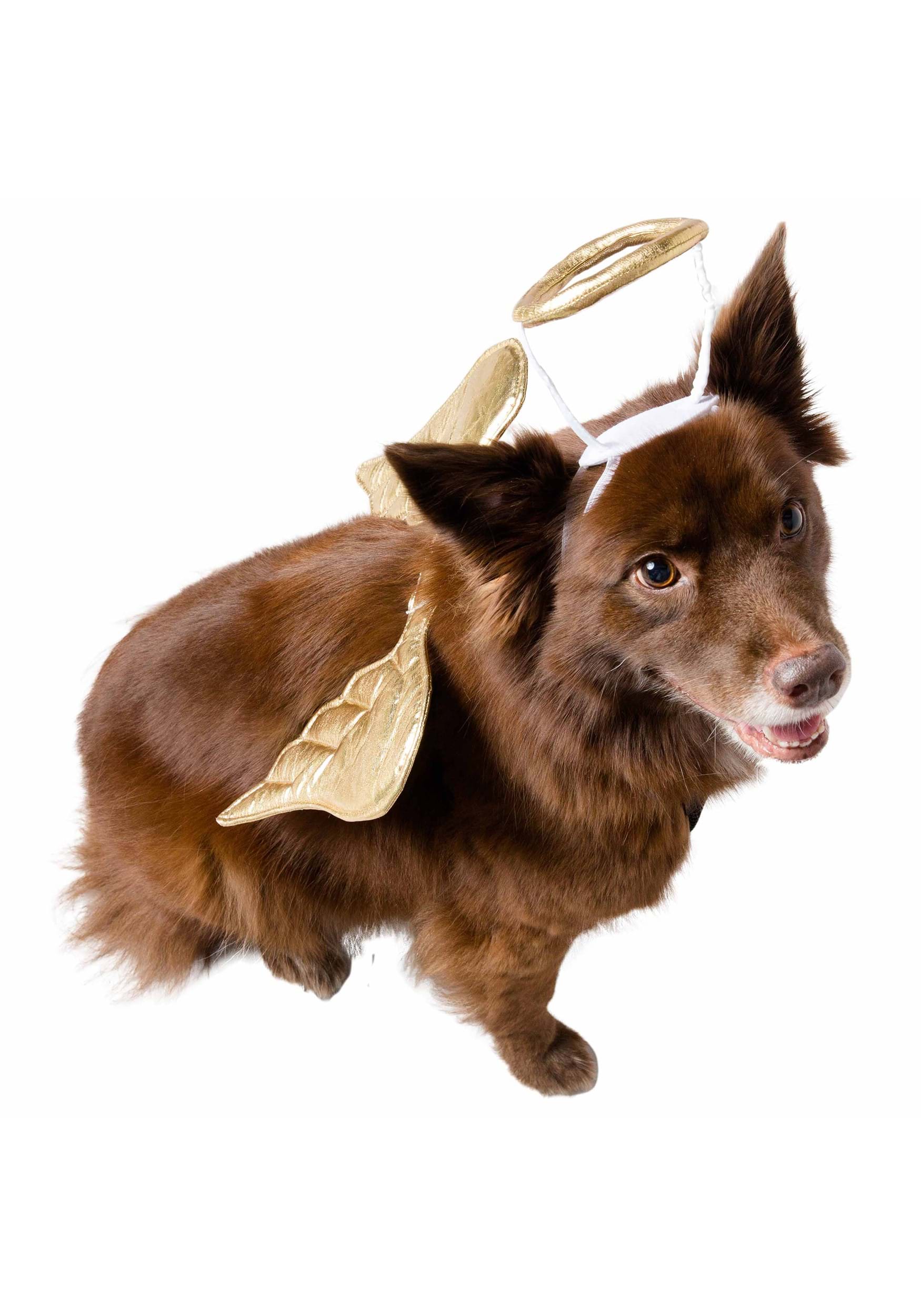 Pet Krewe PWPK00615-ST costumes - View #4