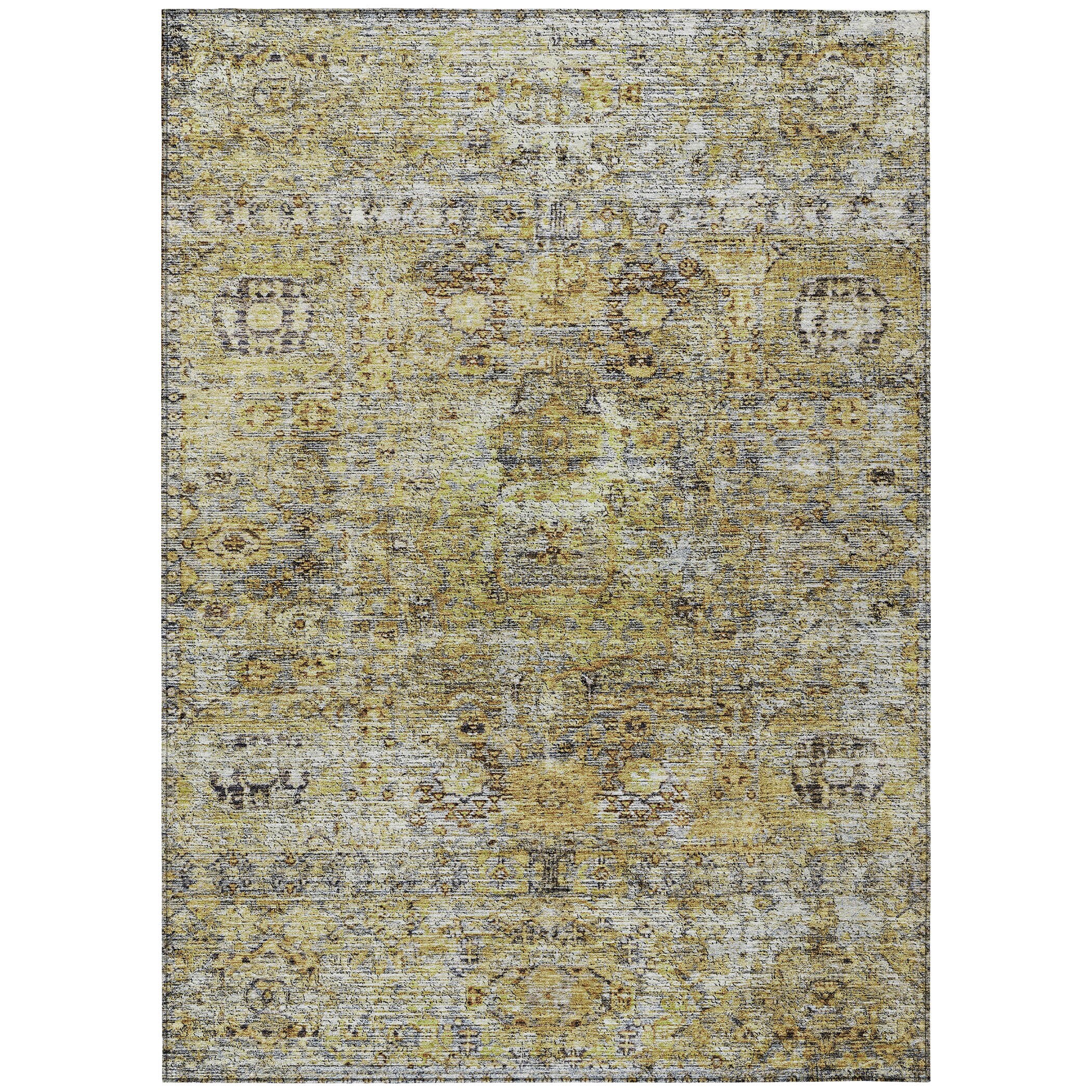 Addison Rugs ACN1143AL30X46 rugs - View #2