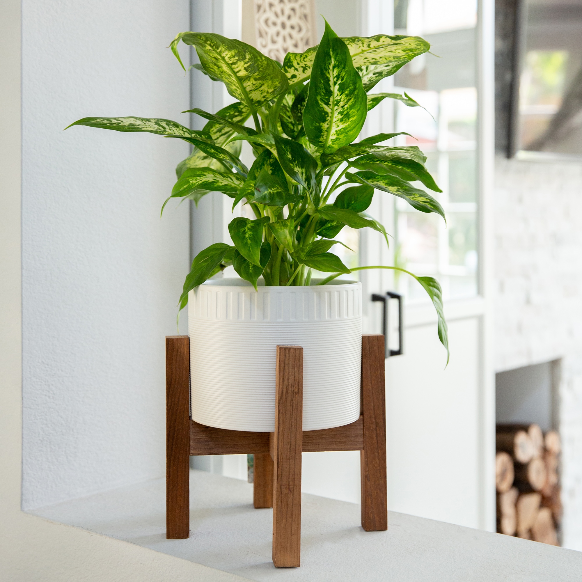 Flora Bunda CT795E-MTWH Planter-Window-Box - View #4