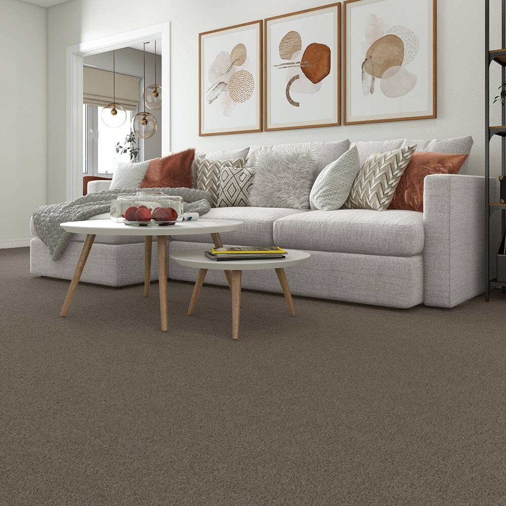Style Selections CCV06-L010-0808 Carpet-Samples - View #3