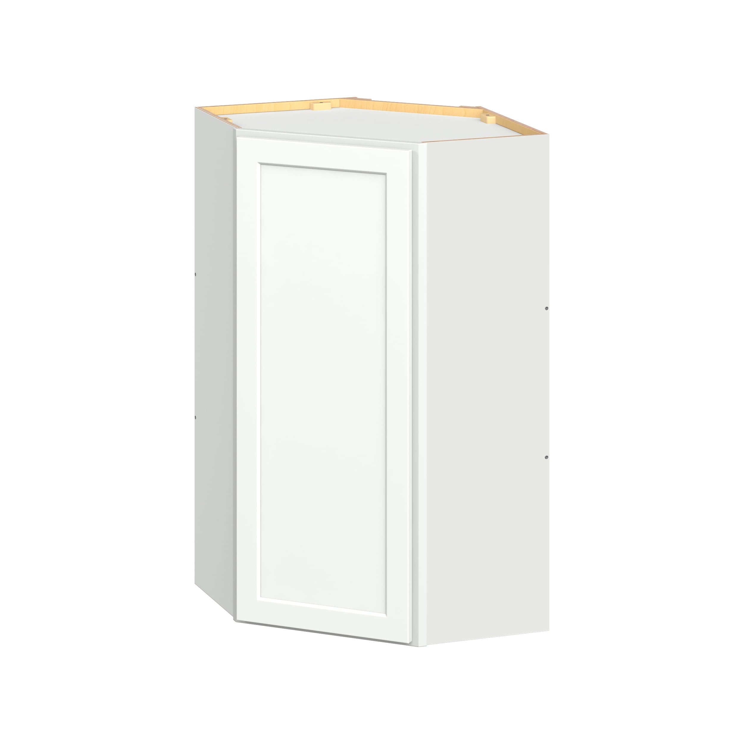 Hugo&Borg PRO Glendale 24-in W x 42-in H x 12-in D Pure White Wall Ready To Assemble Plywood Cabinet (Recessed Panel Shaker Door Style)