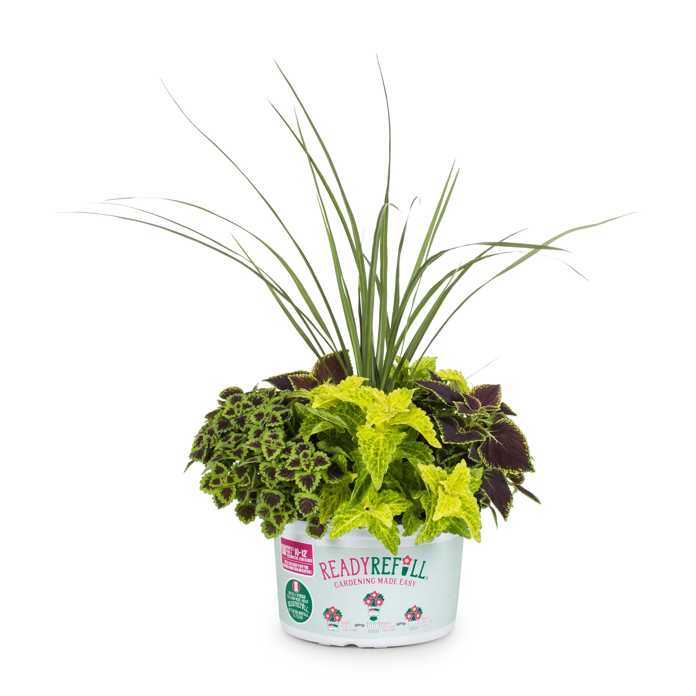 Ready Refill NURSERY Multicolor Mixed Annuals Combinations Pot