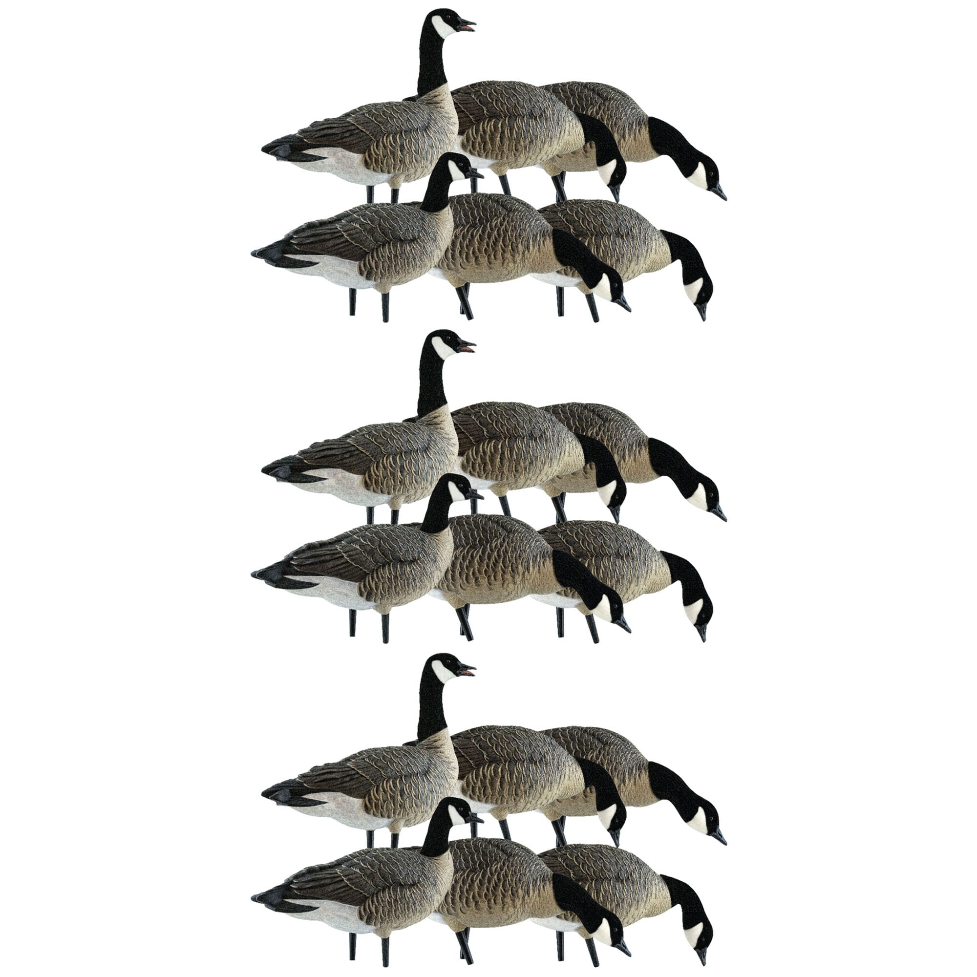  Avian X 408553 28.5 x 18 x 16.5 Inche(s) Decoy 3 -Pack