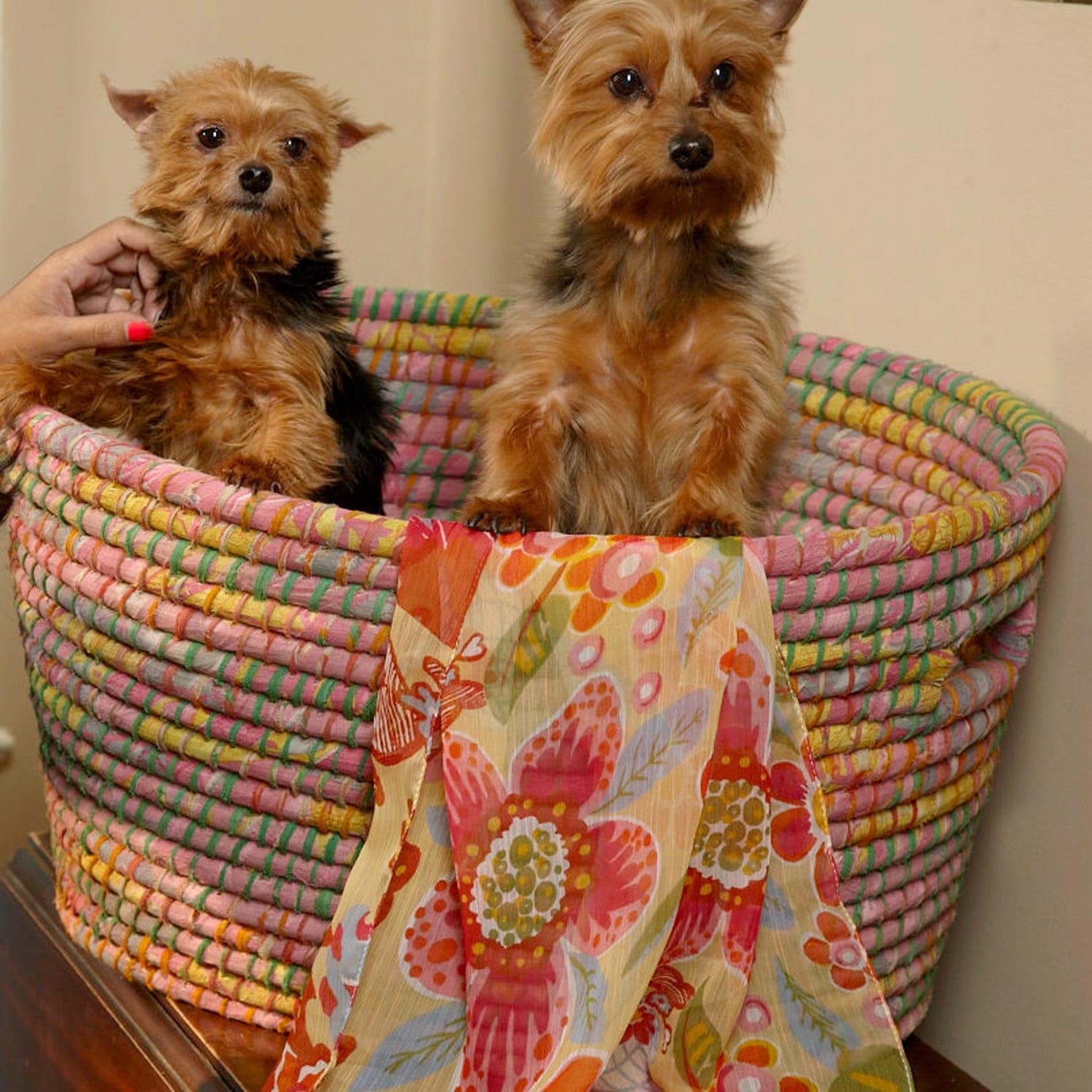 Ten Thousand Villages 6621170 Hamper-Baskets - View #5