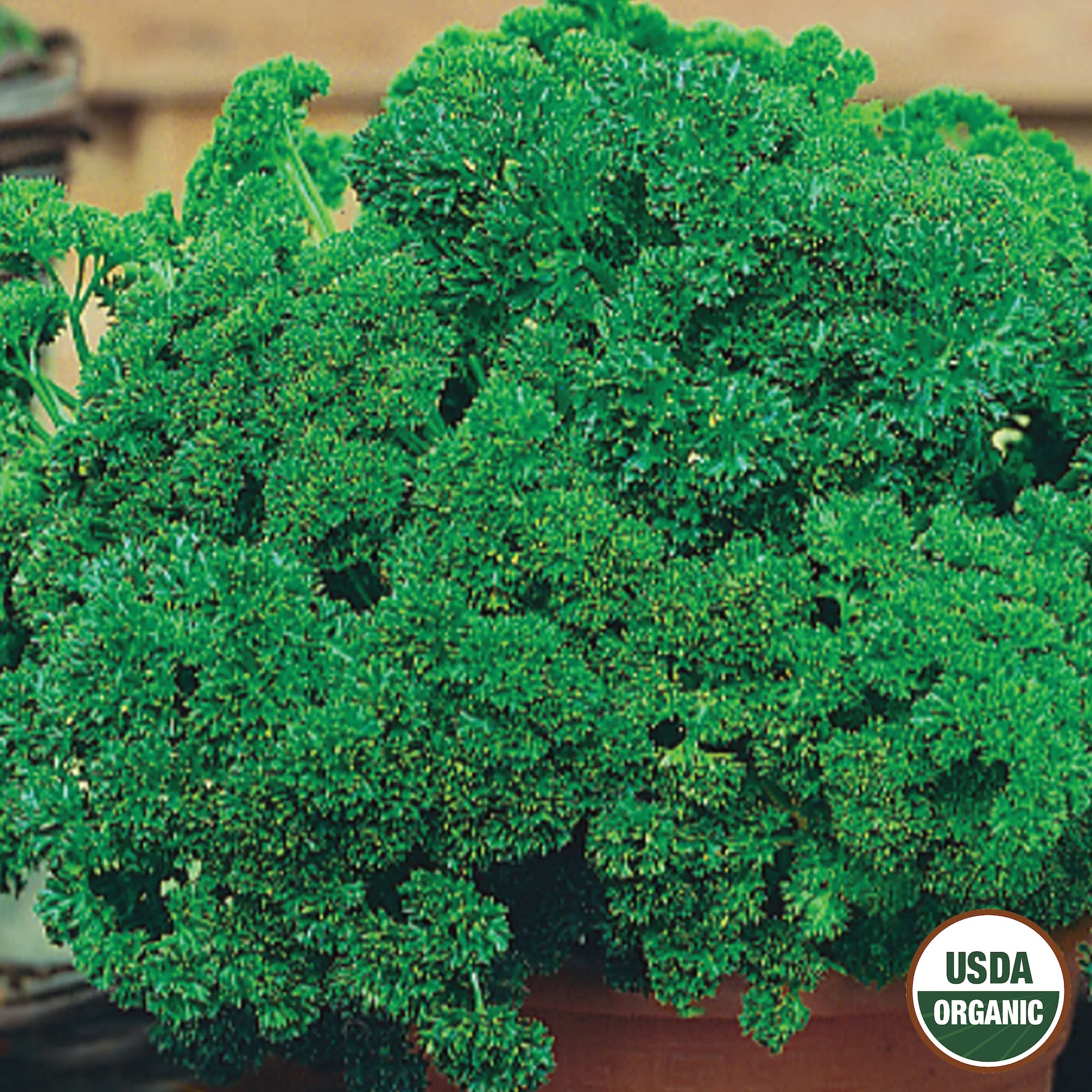 Ferry-Morse LC25.1365 Vegetable-Herb-Seeds - View #3