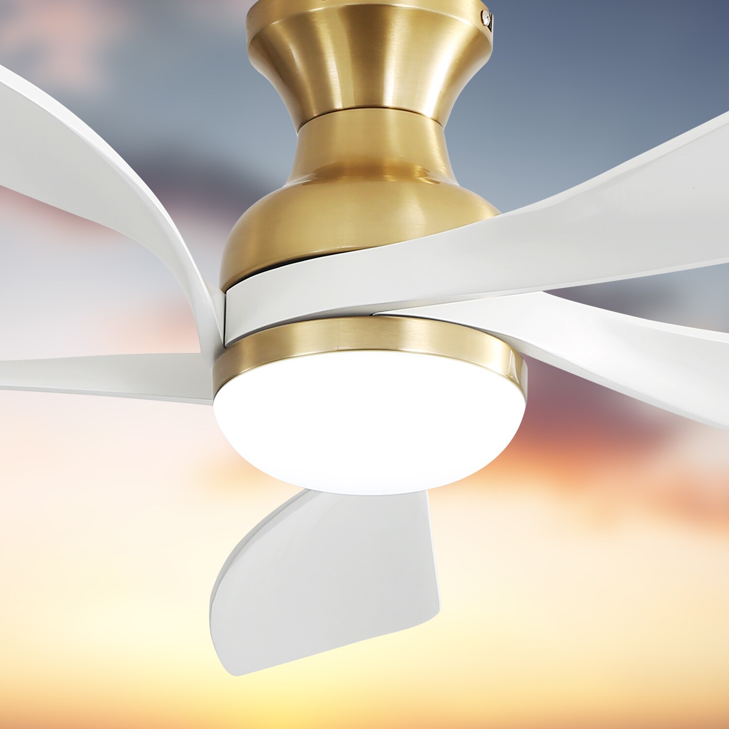 Sofucor LS-52K073SMTY-BG-WH Ceiling-Fans - View #5