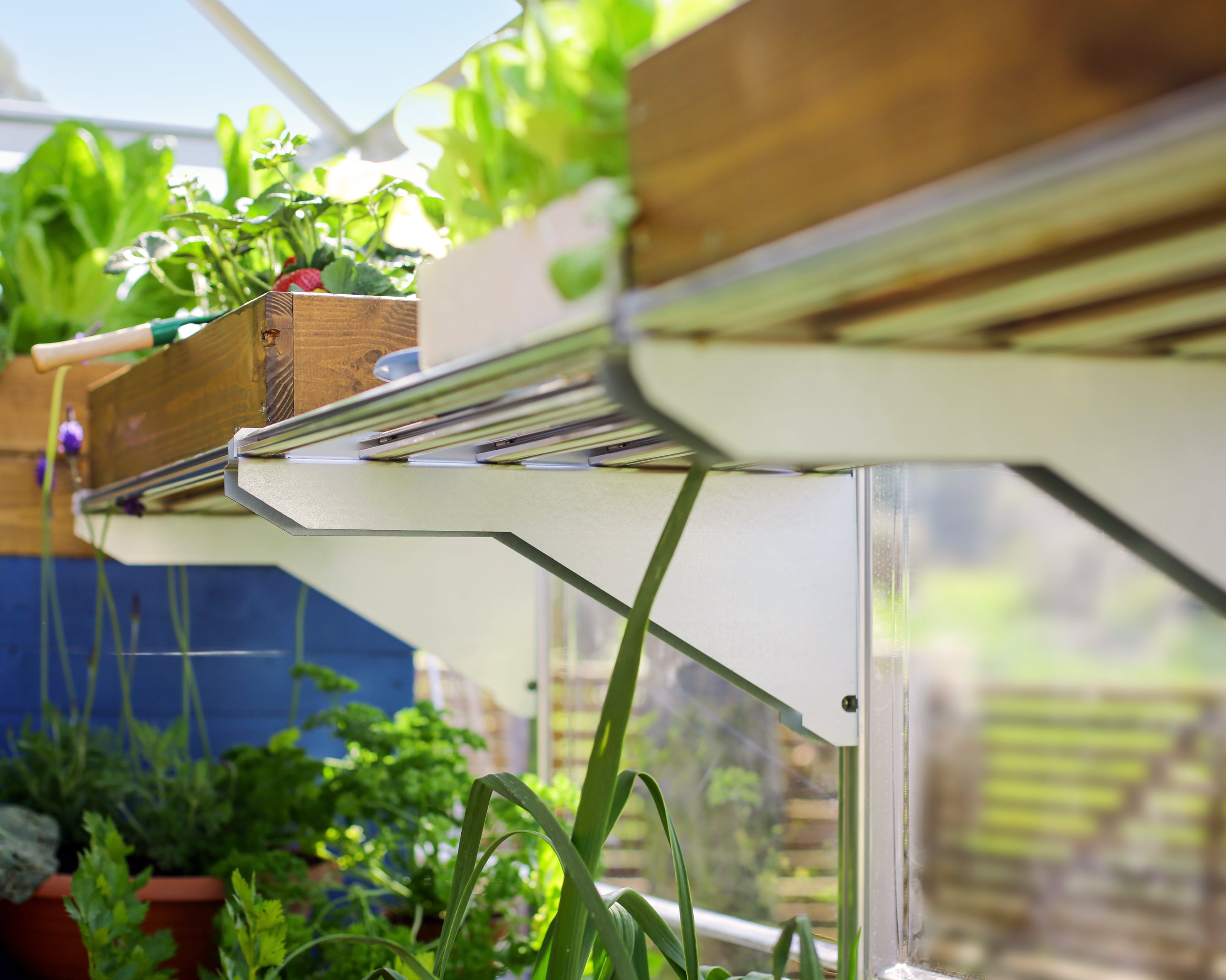 Palram 701935 Greenhouse-Vent-Openers - View #5
