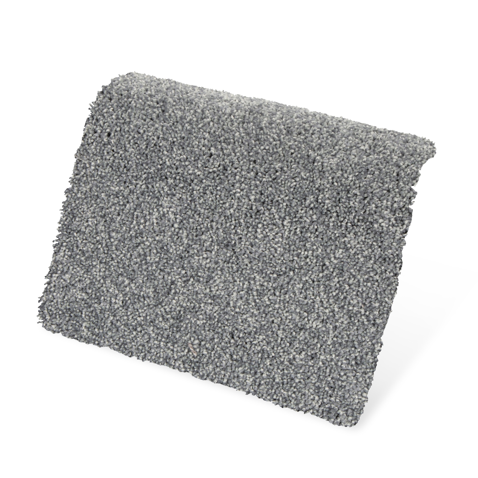 STAINMASTER PetProtect SS022-12-L003 Carpet-Panel - View #3