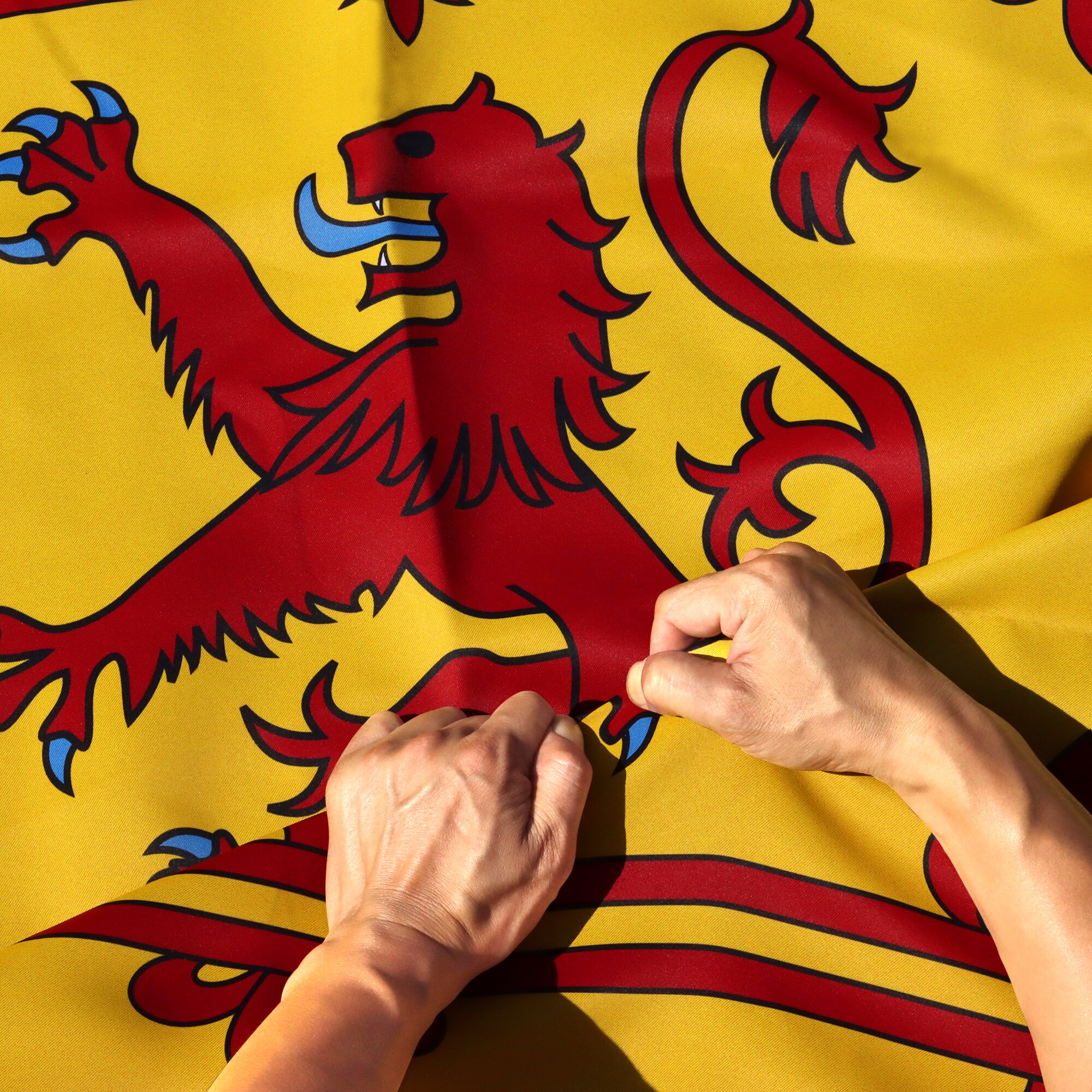 Anley A.FLAG.D.SCLION Rip-Proof Technology 3-Ply Scotland Rampant Lion 5-ft W x 3-ft H Flag