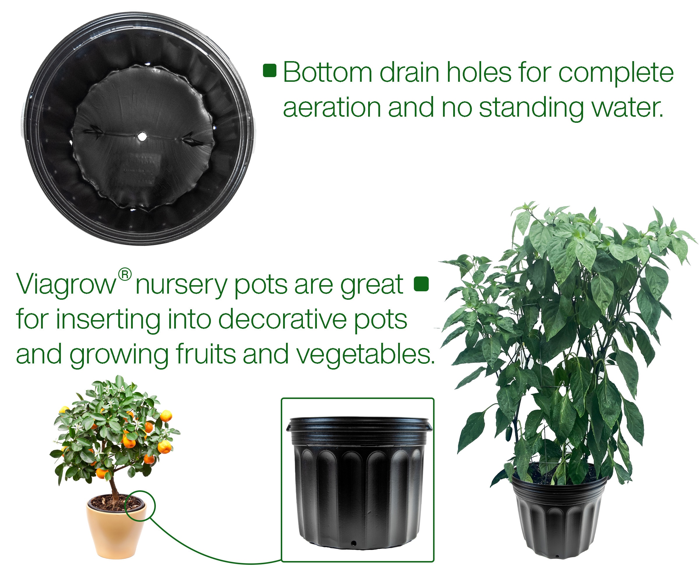Medium Black BPA-Free Plastic Round Nursery Pots, 24-Pack