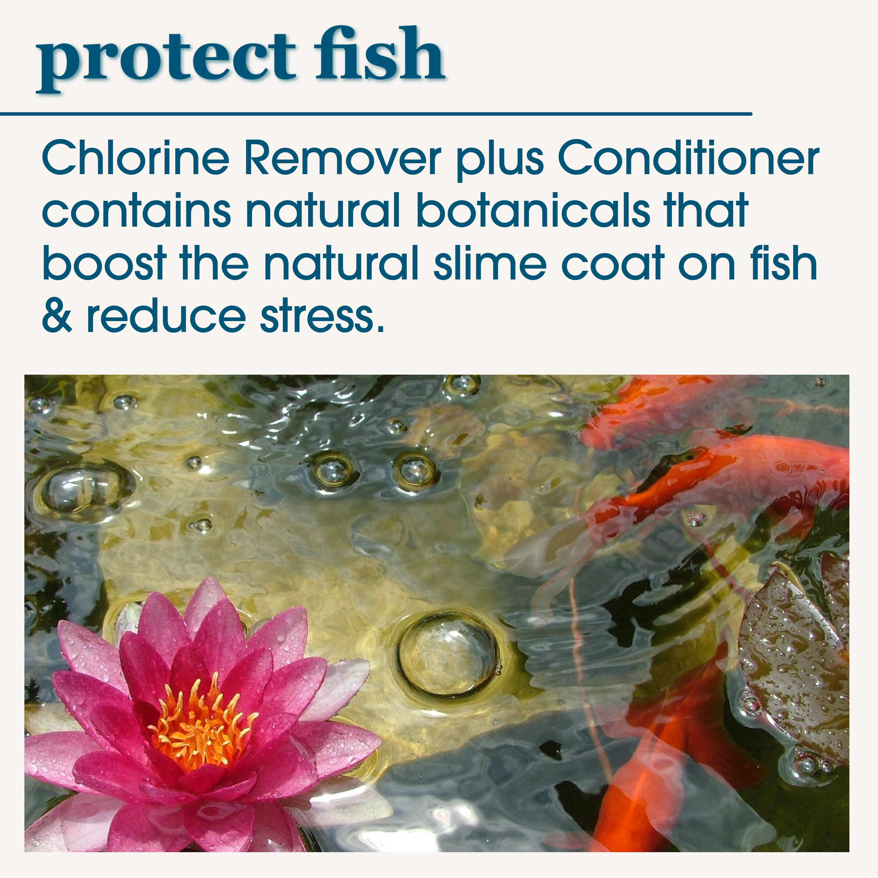 smartpond 54397 Pond-Cleaners - View #7